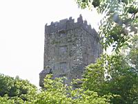 Irlande, Co Galway, Killarone, Aughnanure Castle, Tour (1)